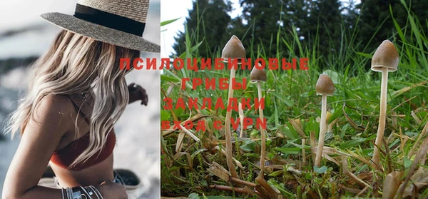 прущие крисы Волоколамск